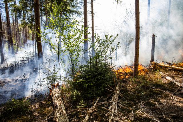 Branden, ongelukken, files: lees hier het 112-nieuws van Friesland