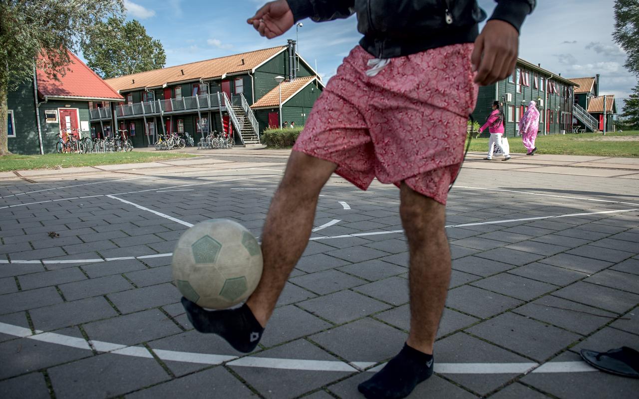 De overlast veroorzaakt door een klein groepje asielzoekers gaat ten koste van het draagvlak voor echte vluchtelingen. De overlast veroorzaakt door een klein groepje asielzoekers gaat ten koste van het draagvlak voor echte vluchtelingen.