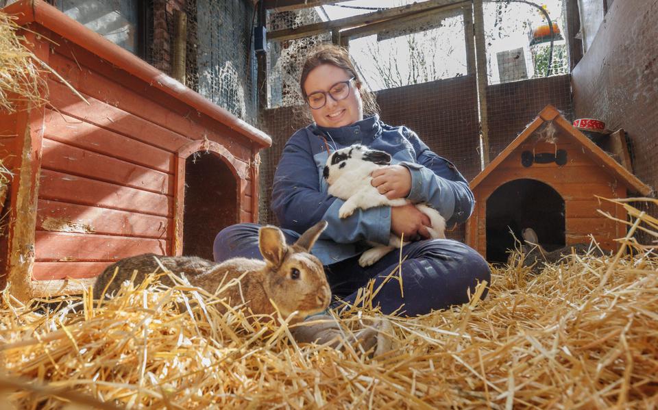 Ashley Schipper in haar konijnenopvang in Oosterwolde.