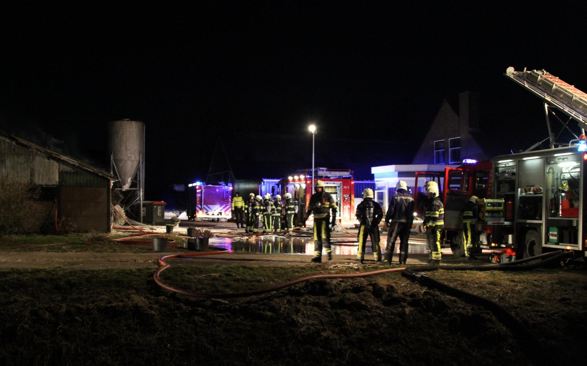 Loods in Minnertsga afgebrand, vier kalveren omgekomen
