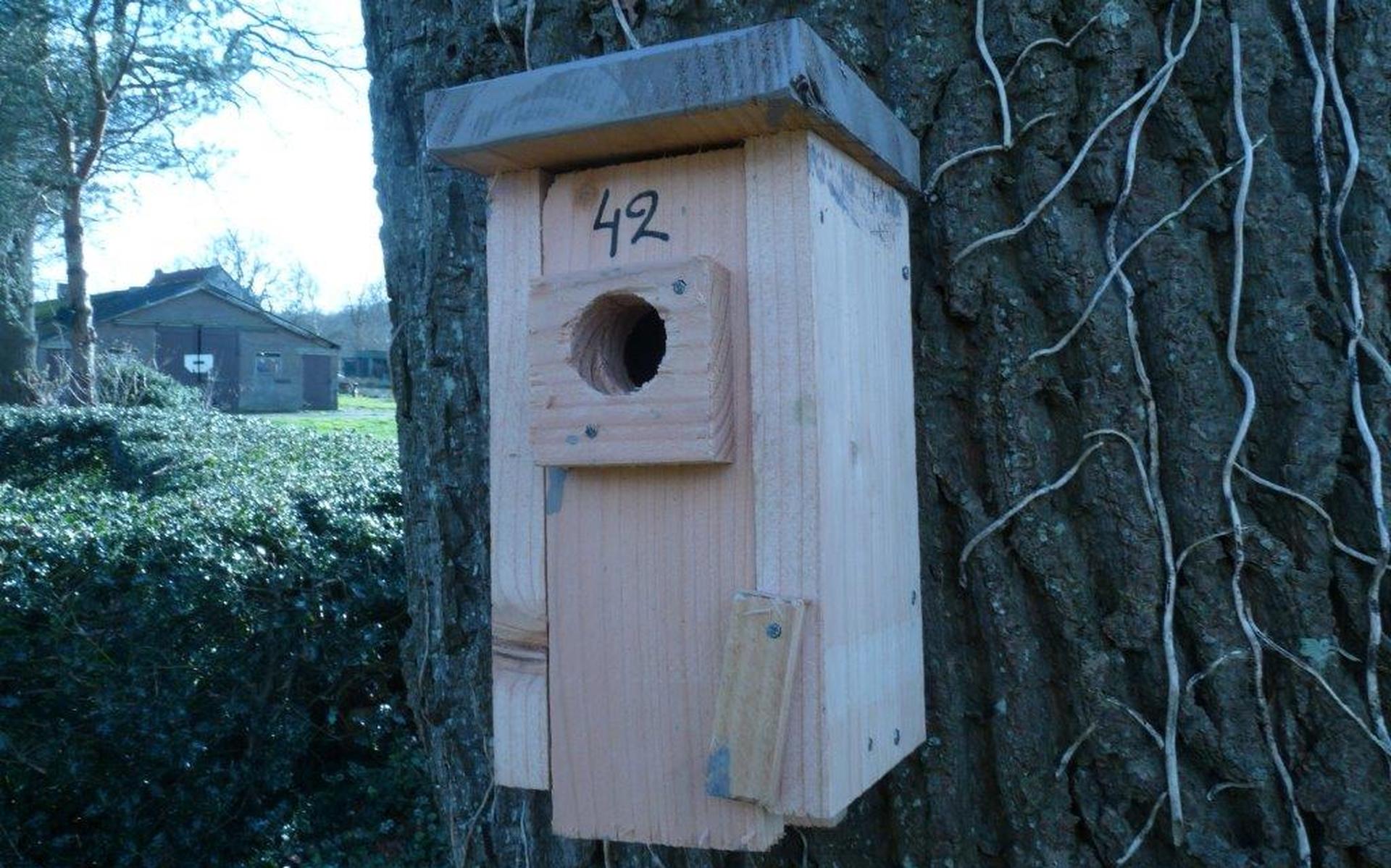 Alle beetjes: Timmer een nestkast - Leeuwarder Courant