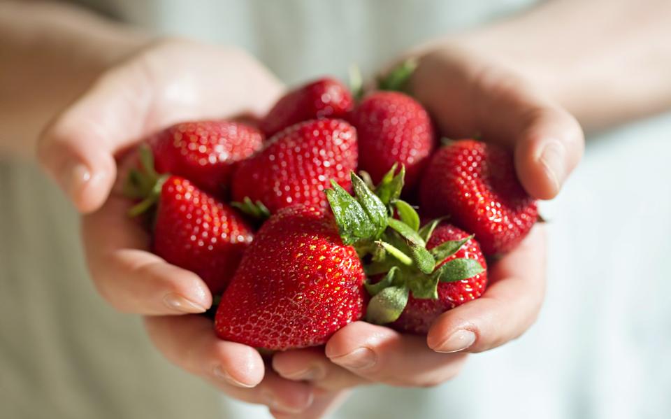 Foto: Shutterstock