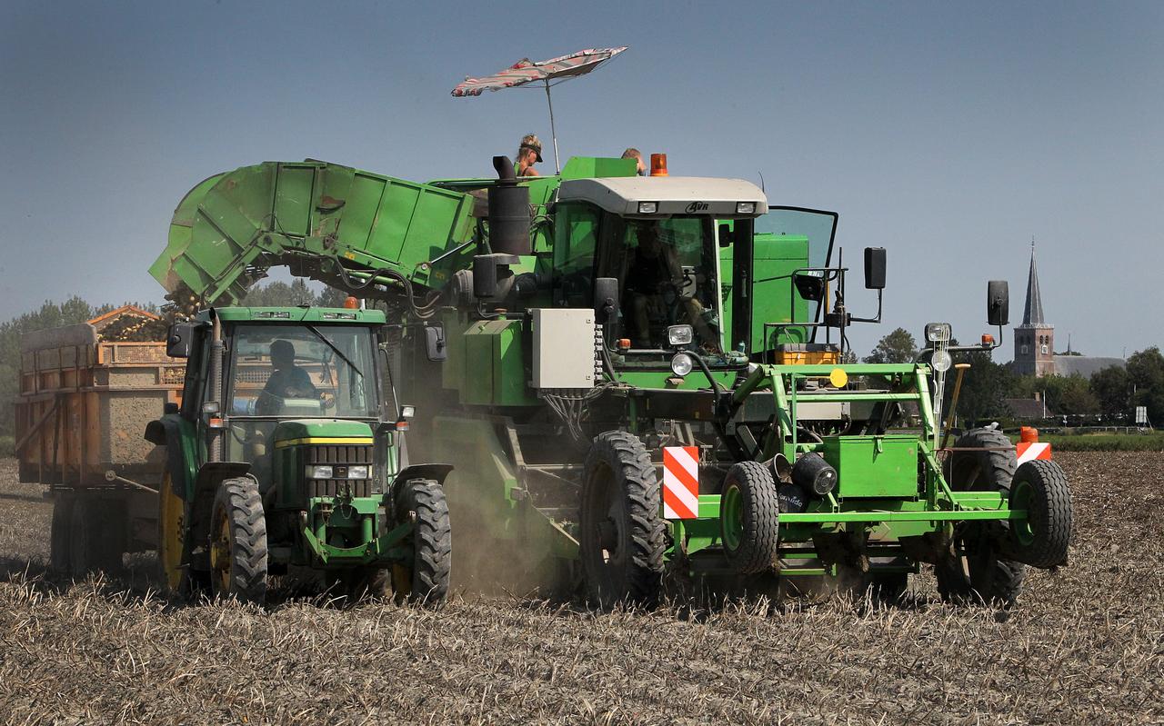Pootaardappelen rooien in de omgeving van Hallum. Dankzij de de poters uit Noord-Friesland, Noord-Groningen en de kop van Noord-Holland kunnen circa 900 miljoen mensen een jaar lang aardappelen eten (gemiddeld 35 kilo aardappelen per persoon). Pootaardappelen rooien in de omgeving van Hallum. Dankzij de de poters uit Noord-Friesland, Noord-Groningen en de kop van Noord-Holland kunnen circa 900 miljoen mensen een jaar lang aardappelen eten (gemiddeld 35 kilo aardappelen per persoon).