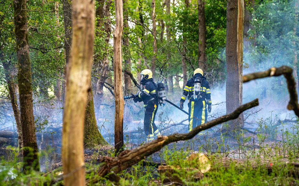 Maandag ontstond brand in droge takken, boomstronken en bladeren in een bos aan De Tuinen in Wolvega. De oorzaak is onbekend.