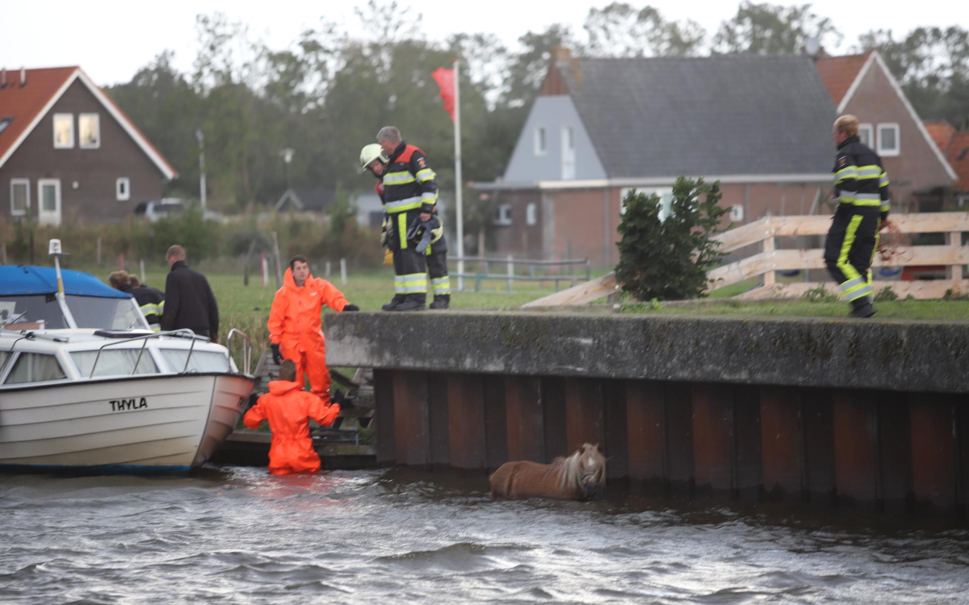 Brandweer in actie voor redding mens en dier