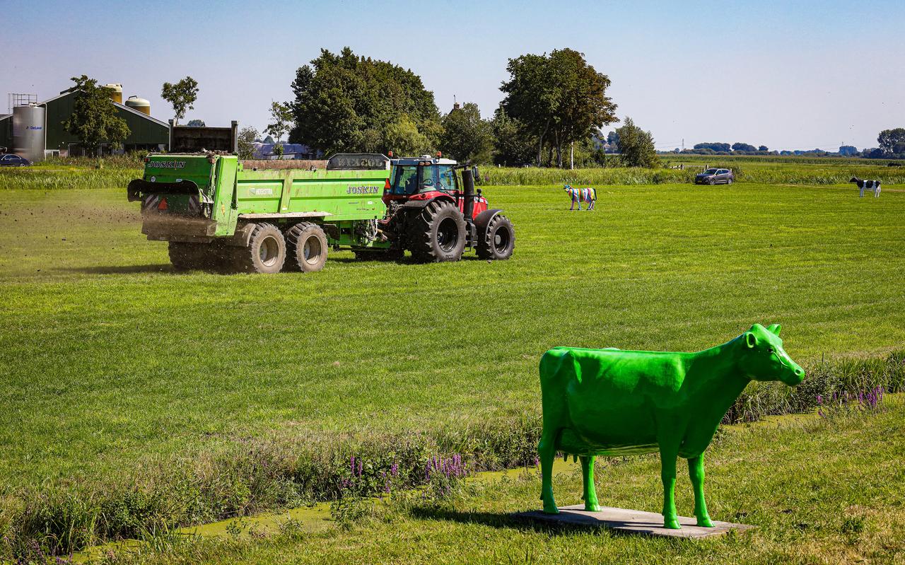 Met een wagen, waarmee normaliter ruige mest wordt uitgereden, verspreidt een medewerker van loonbedrijf Hoekstra uit Oosterzee kleideeltjes over de veenweide van de maatschap Holtrop in Delfstrahuizen. Met een wagen, waarmee normaliter ruige mest wordt uitgereden, verspreidt een medewerker van loonbedrijf Hoekstra uit Oosterzee kleideeltjes over de veenweide van de maatschap Holtrop in Delfstrahuizen.