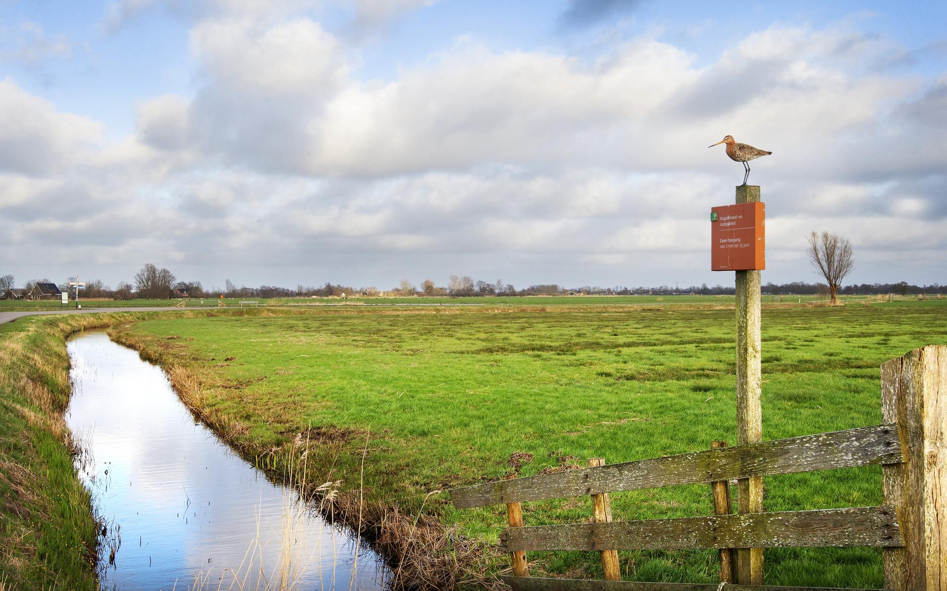 Cultuurfonds investeert meer in natuur: 150.000 euro extra naar Friesland