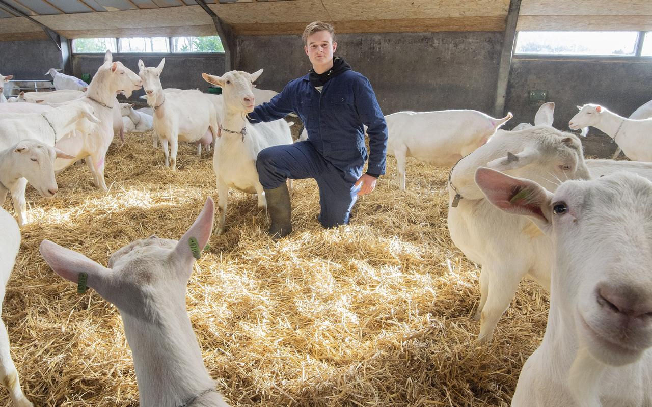 Hendrik Koonstra (16) bij de geiten die hij kort voordat hij een avondklokboete kreeg nog gemolken had. Hendrik Koonstra (16) bij de geiten die hij kort voordat hij een avondklokboete kreeg nog gemolken had.