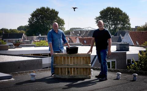 Arend Kuiper en Gerrit Verbruggen bekommeren zich om de visdieven, de vogels worden gedwongen hun heil op daken te zoeken omdat hun natuurlijke broedplaatsen zijn verdwenen door toedoen van de mens. 