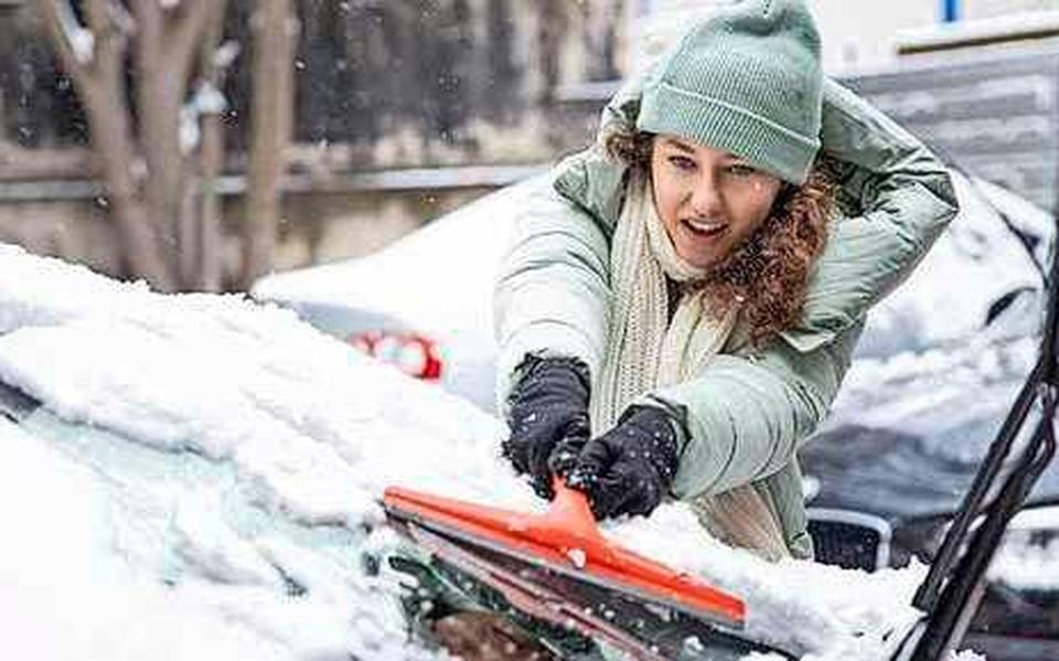 Hoe het gezoem van bijen klinkt op muziek - Leeuwarder Courant