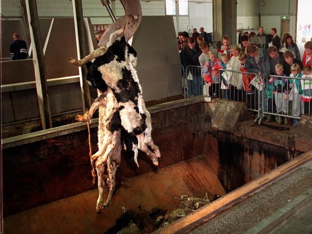 Eeuwfeest van de stjonkfabryk: 100 jaar Sonac Sumar