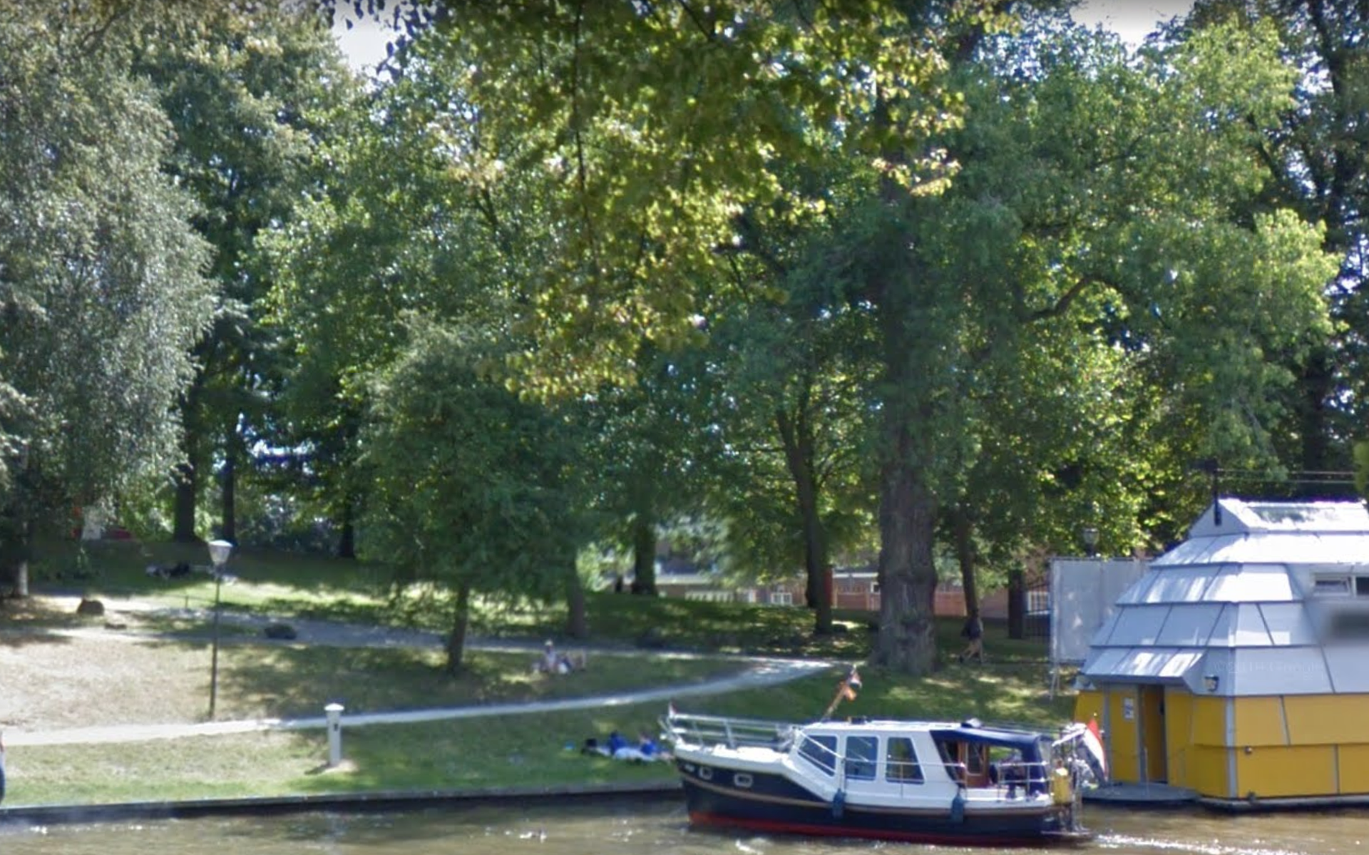 Staat de Boom van het Jaar in de Prinsentuin in Leeuwarden? - Leeuwarder Courant