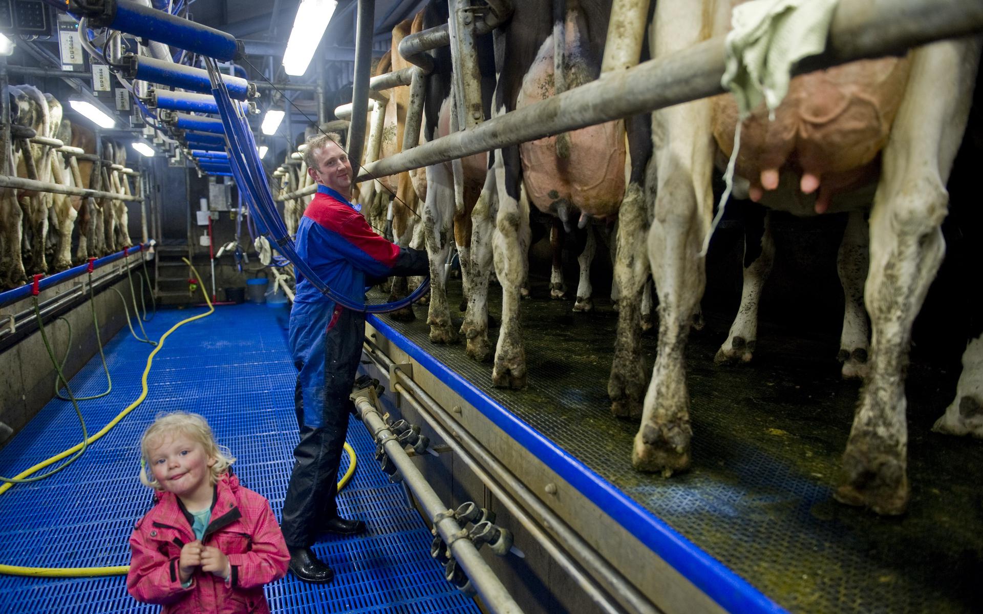 FrieslandCampina betaalt boeren in juni 56,50 cent per liter melk. Dat is bijna 20 cent meer dan vorig jaar. 