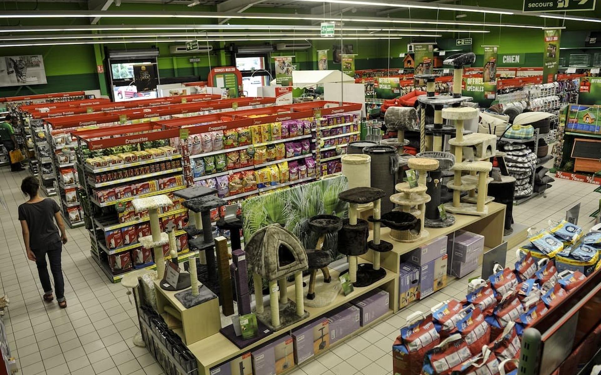 Jumper Surhuisterveen verder onder de naam Maxi Zoo