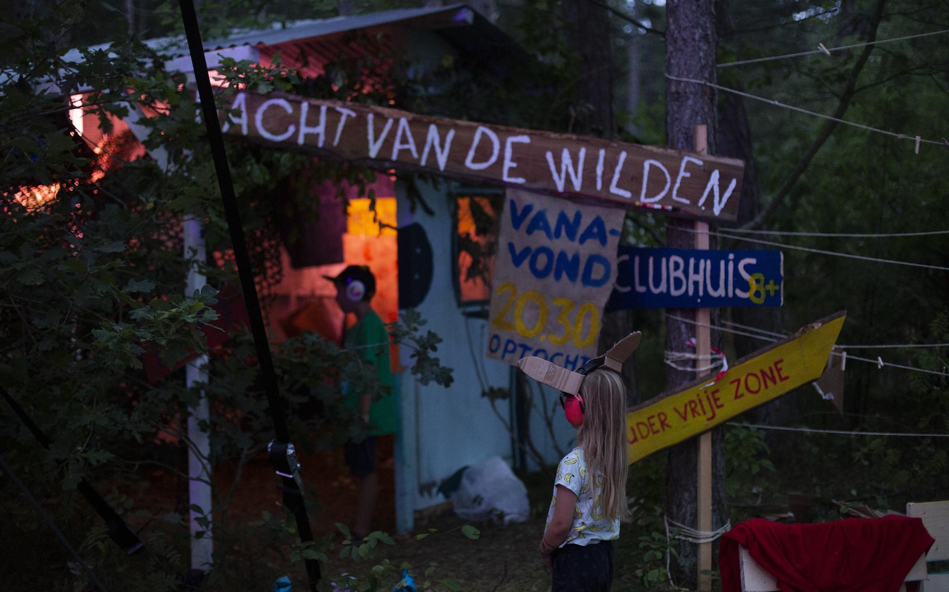 Dit is het goede nieuws van deze week: drie nieuwe zwaluwen, zonlicht