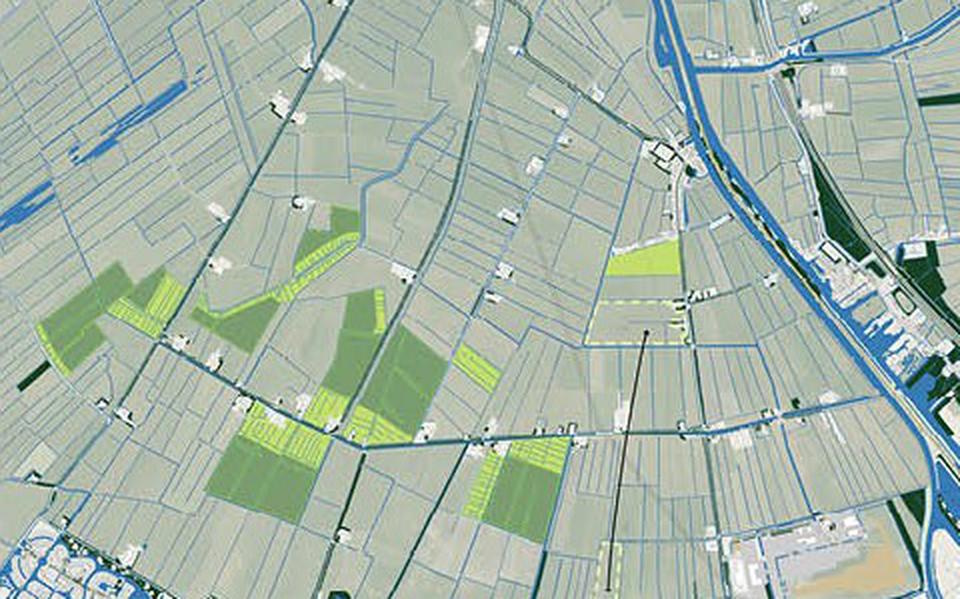 De plankaart van de Haskerveenpolder. De donkergroene delen moeten zonneweide worden, op de lichtgroene vlakken komt meer biodiversiteit.  