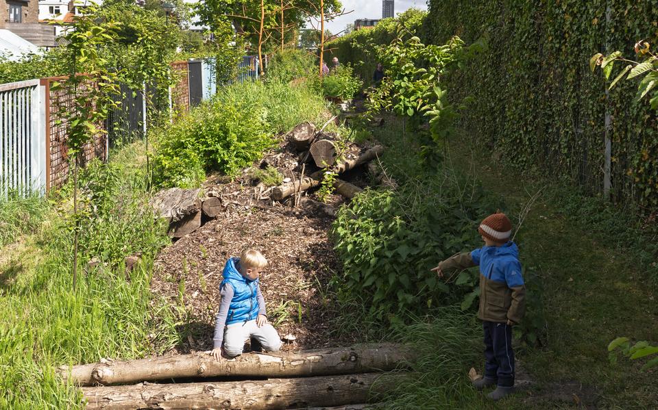 Jelke (8) en Diemer (7) van Dijk ontdekken de ecosloot.