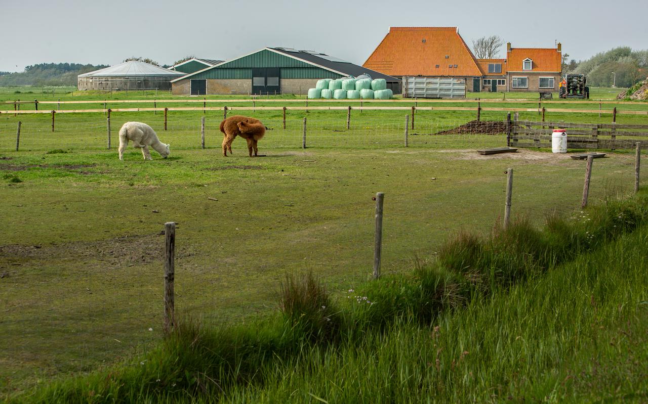 De provincie heeft het land en de natuurvergunning van de boerderij aan de Pietje Miedeweg 4 van Paul Polet gekocht.