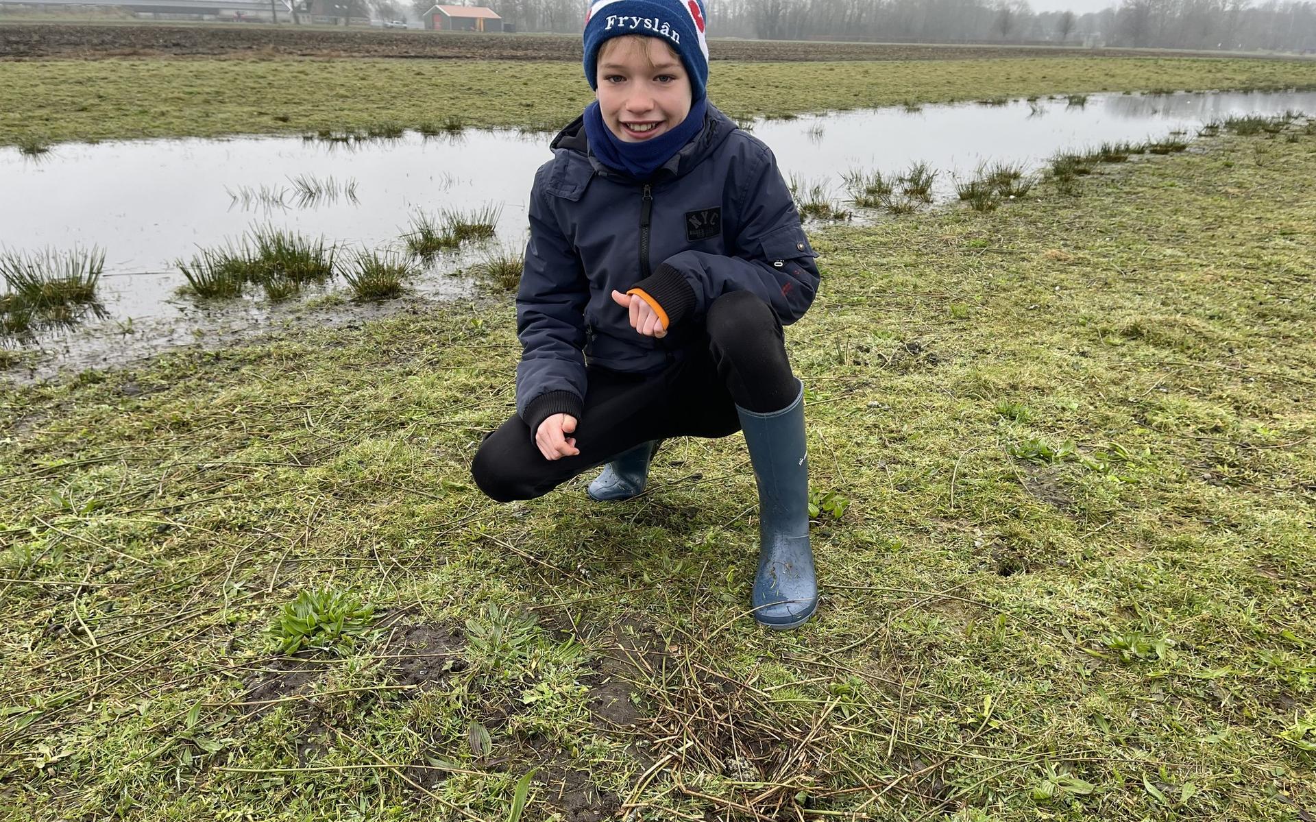 Hidde (11) uit Bakhuizen vindt eerste jeugd-kievitsei van Friesland