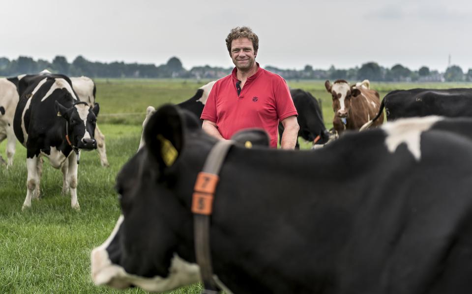 Melkveehouder Alex Datema: ,,Ik zoek een krachtenbundeling van boeren die zeggen: we durven het aan, we trekken het initiatief naar ons toe."