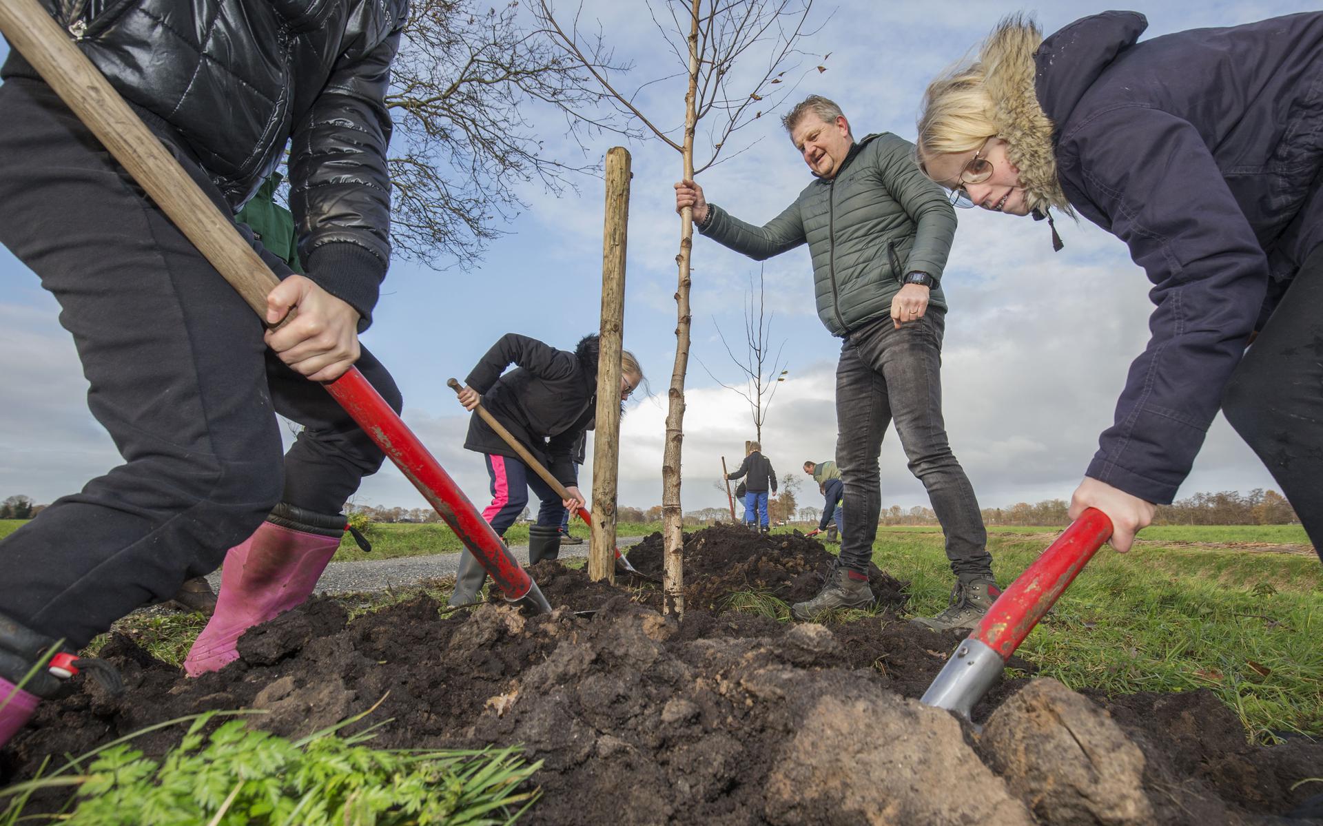 zien Voorwaarden Overeenkomstig Bomen uitdelen en planten op 40 verschillende plekken in Friesland -  Leeuwarder Courant