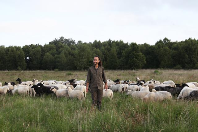 Tussen wollige dames, struikheide en kraanvogels: Shariff (33) zegde zijn kantoorbaan op en werd sch