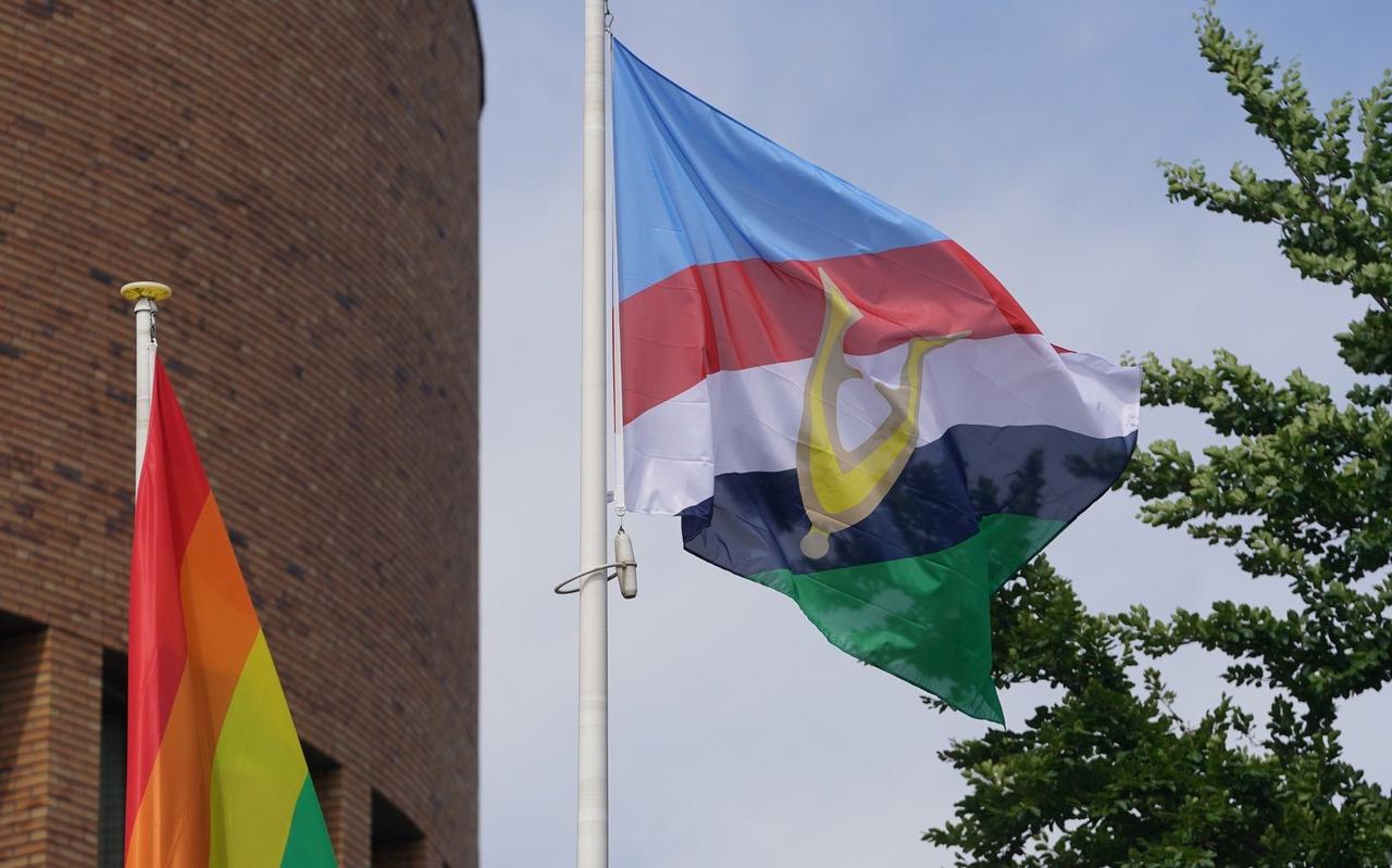 De veteranenvlag, die al in 2005 werd ontworpen maar pas in 2019 officieel is gepresenteerd. De veteranenvlag, die al in 2005 werd ontworpen maar pas in 2019 officieel is gepresenteerd.