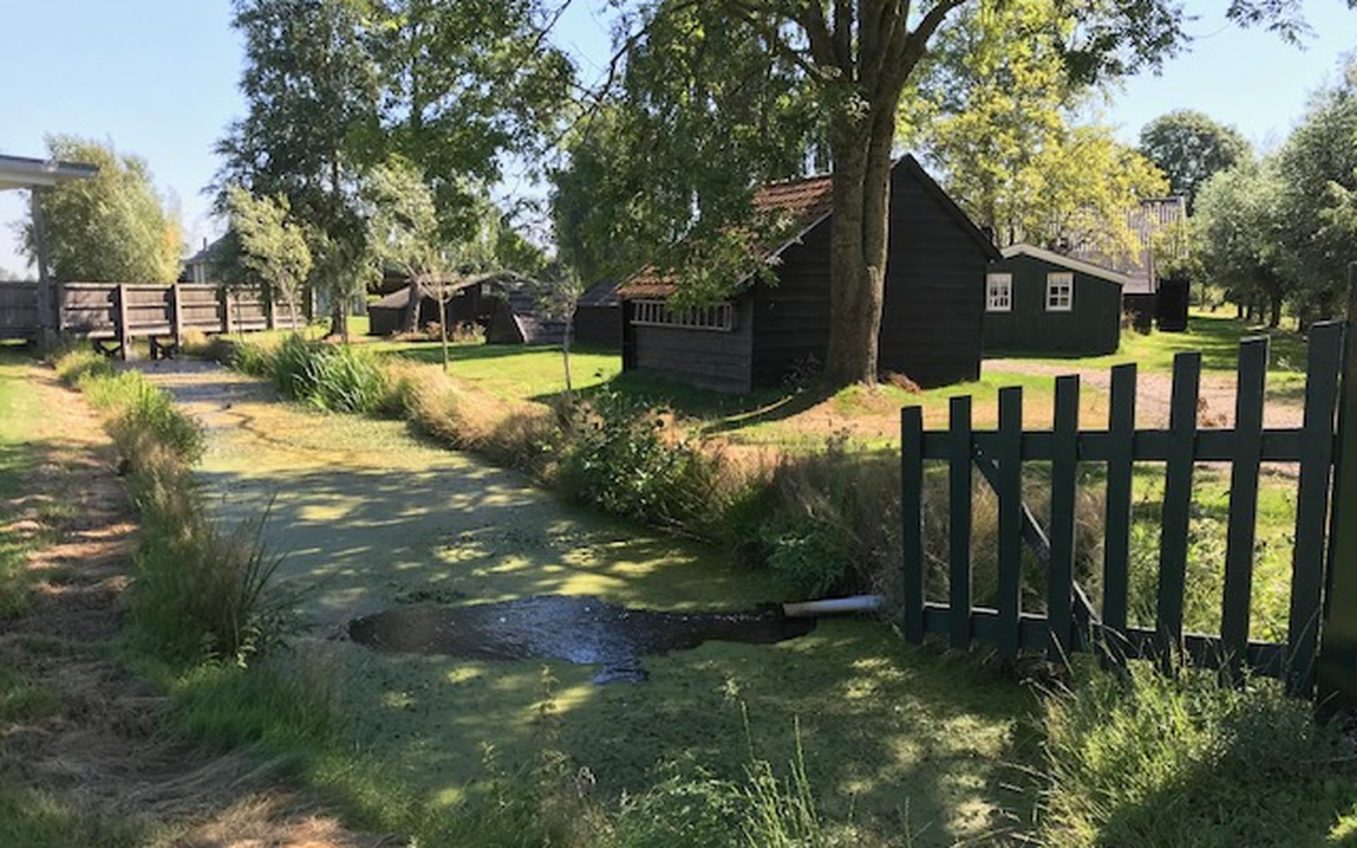 It Damshûs in Nij Beets blijft zich al zes decennia ontwikkelen