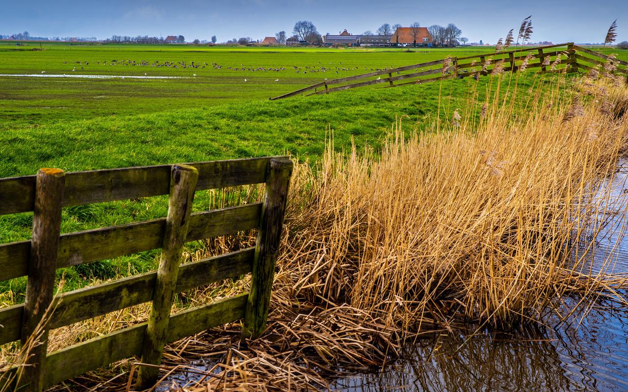 Honderden gebiedscommissies zullen aan de slag in Nederland om doelen op het gebied van stikstof, klimaat en water te halen.