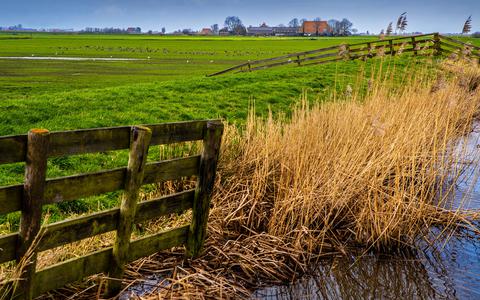 Honderden gebiedscommissies zullen aan de slag in Nederland om doelen op het gebied van stikstof, klimaat en water te halen. 