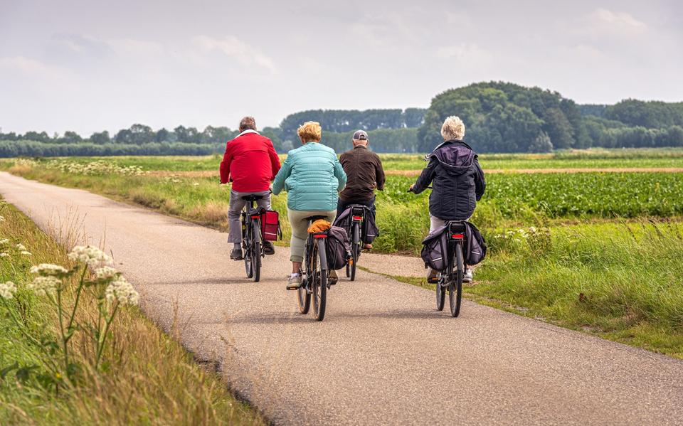 Ouderen op een elektrische fiets.