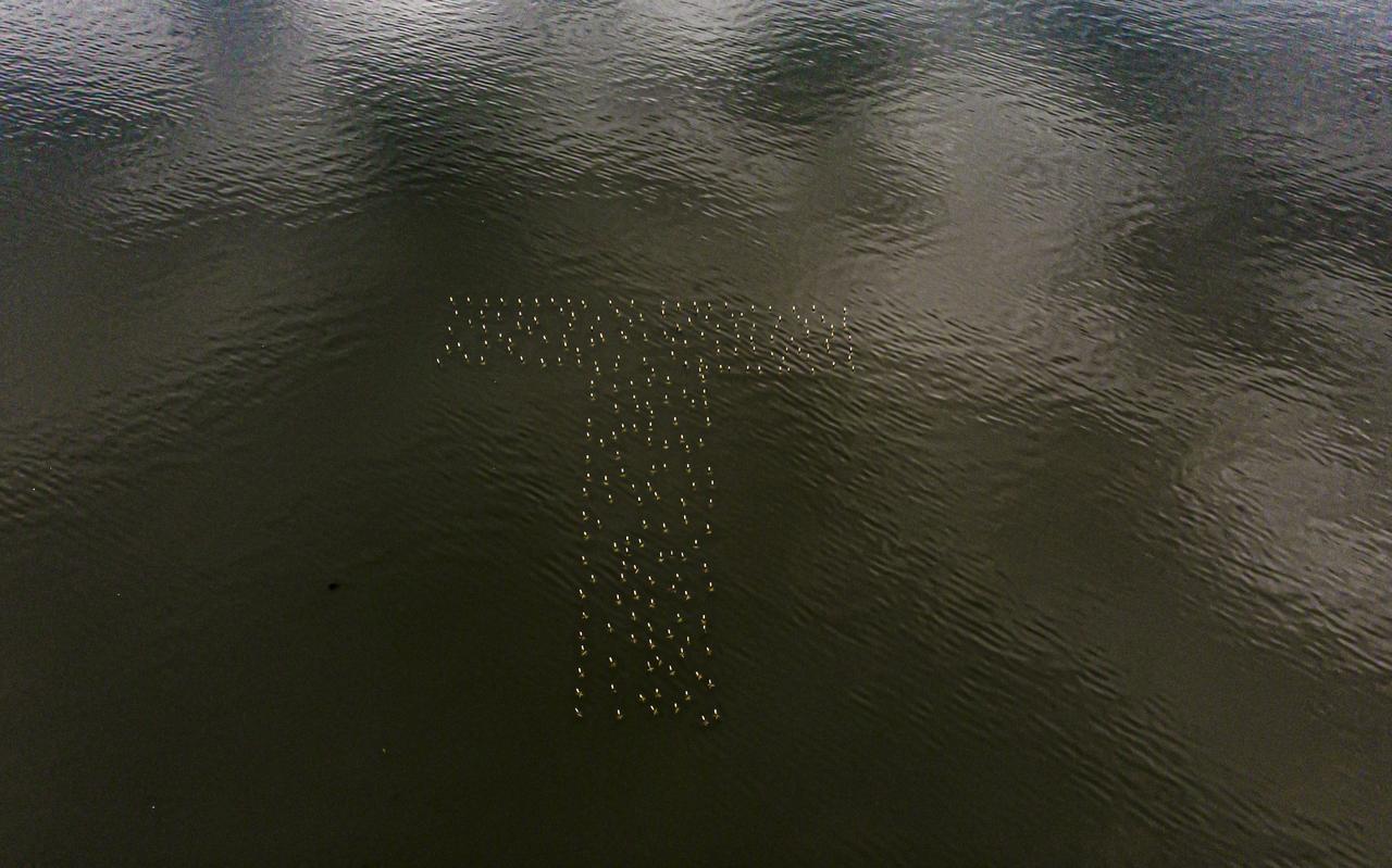 Overal op het eiland verschijnen letters, zoals hier bij het wad op het Oostelijke gedeelte bij de Wierschuur. Houten elementen komen met hoogwater drijven. Overal op het eiland verschijnen letters, zoals hier bij het wad op het Oostelijke gedeelte bij de Wierschuur. Houten elementen komen met hoogwater drijven.