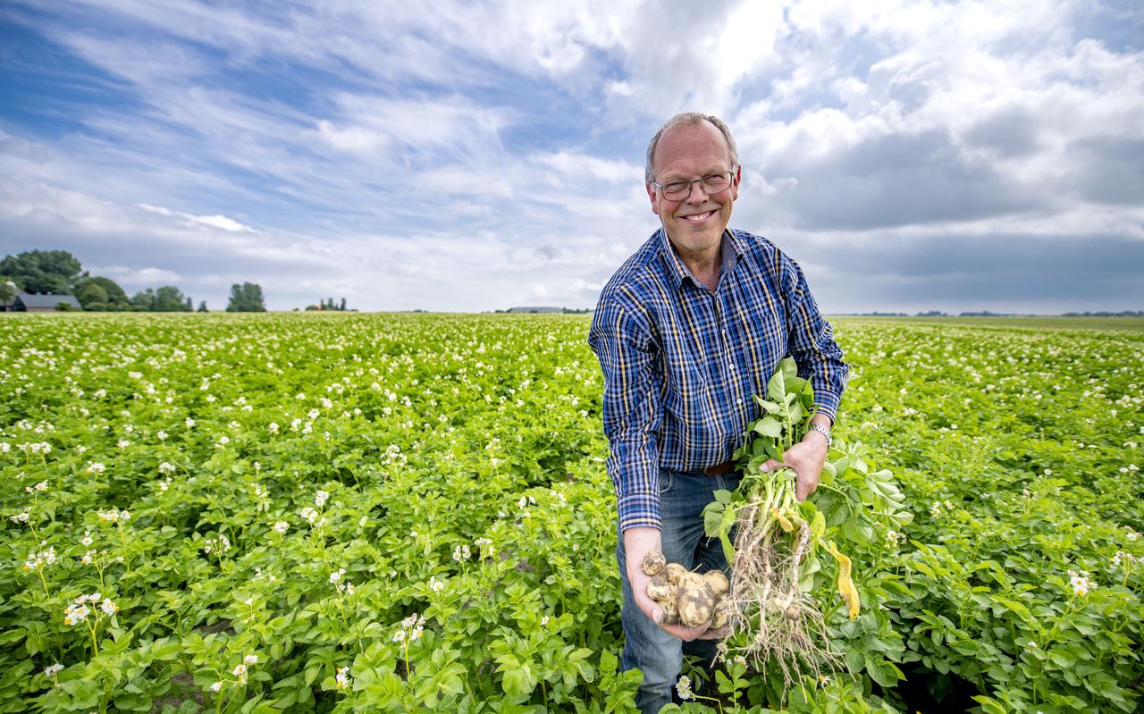 Akkerbouwer Teun de Jong toont enkele Hermosa-knollen, een nieuw ras dat prima gedijt in de kurkdroge delen van Noord-Afrika. Akkerbouwer Teun de Jong toont enkele Hermosa-knollen, een nieuw ras dat prima gedijt in de kurkdroge delen van Noord-Afrika.