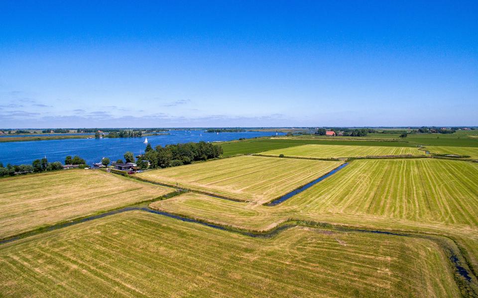 Het veenweidegebied bij Goëngahuizen. 