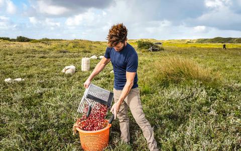 Bart van Zandwijk vult een man met verse cranberry's.