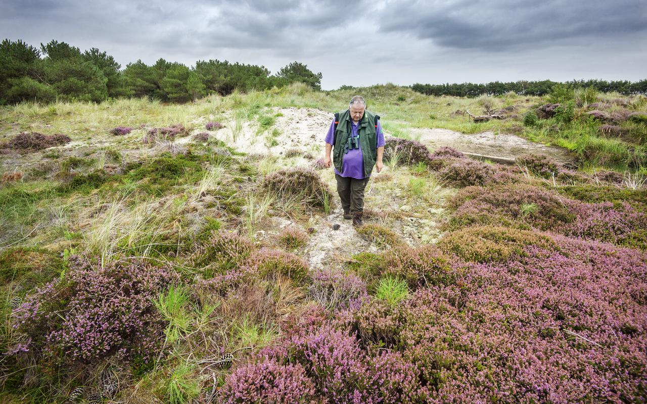 Carl Zuhorn speurt naar zandhagedissen. ,,Heel rustig lopen en niet naar de grond kijken, maar juist wat verder voor je uit.'' Carl Zuhorn speurt naar zandhagedissen. ,,Heel rustig lopen en niet naar de grond kijken, maar juist wat verder voor je uit.''