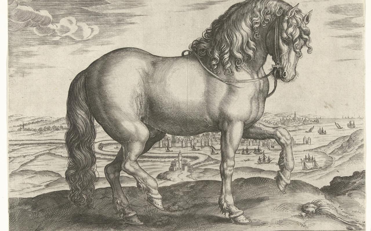 De hengst Phryso was een strijdhengst van Don Juan de Austria aan het hof van Napels. Hij is afgebeeld op een van de oudste van een Fries bekende gravure, van Hendrick Goltzius (toegeschreven aan), naar Jan van der Straet, ca. 1578 - ca. 1582. De hengst Phryso was een strijdhengst van Don Juan de Austria aan het hof van Napels. Hij is afgebeeld op een van de oudste van een Fries bekende gravure, van Hendrick Goltzius (toegeschreven aan), naar Jan van der Straet, ca. 1578 - ca. 1582.
