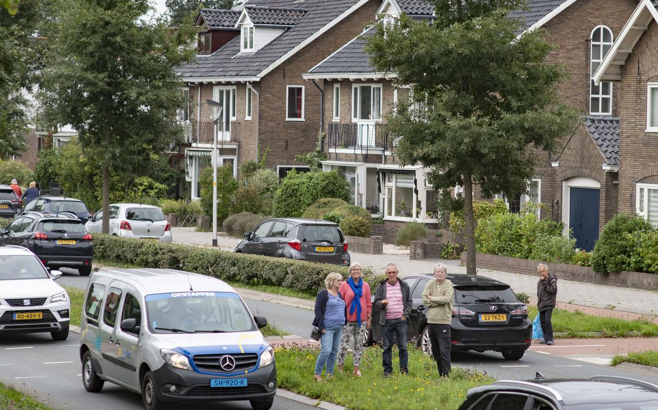 De omwonenden van de Julianalaan blijven strijdbaar. De foto is gemaakt bij het Van Miereveltplantsoen. De omwonenden van de Julianalaan blijven strijdbaar. De foto is gemaakt bij het Van Miereveltplantsoen.