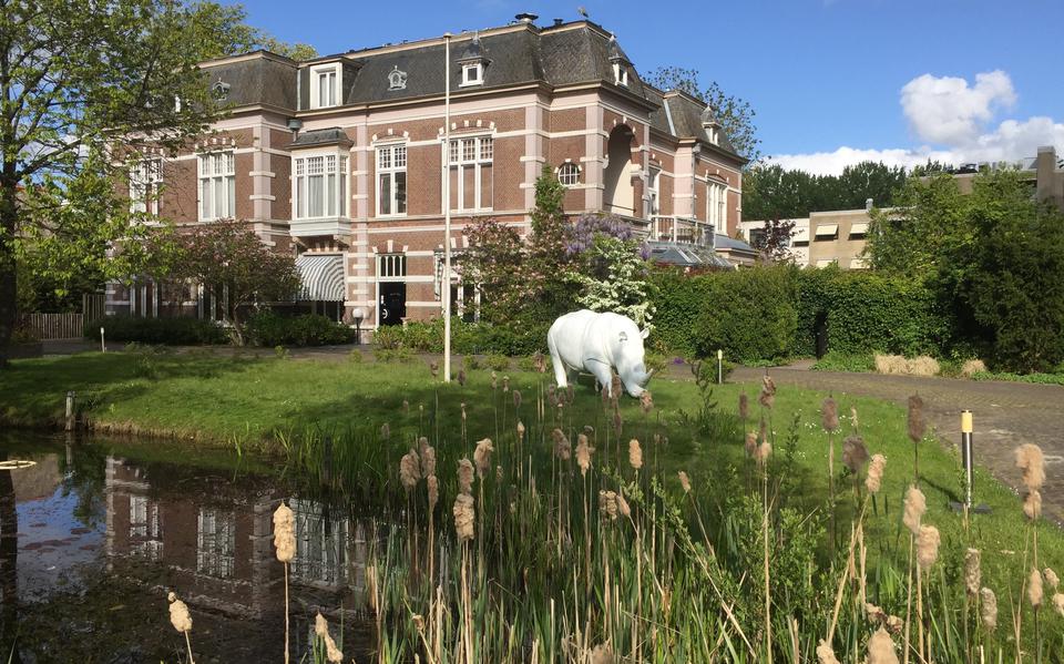 De villa aan de Verlengde Schrans trok de laatste jaren veel aandacht door een beeld van een neushoorn in de voortuin. 
