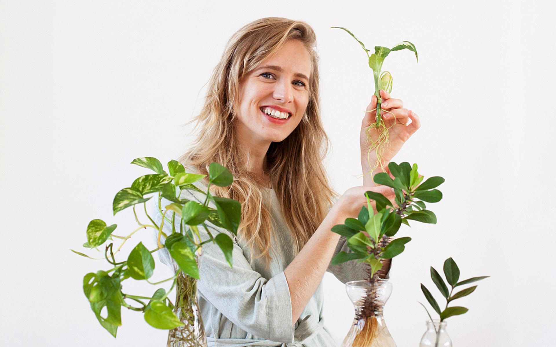 Planten stekken populairder dan | DIY - Leeuwarder Courant