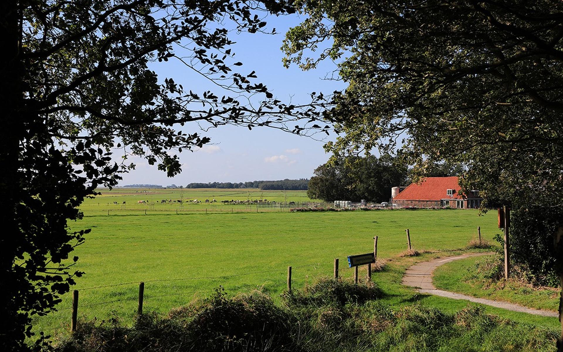 De Fryske Marren moet opnieuw beslissen over grote stal bij Oudemirdum