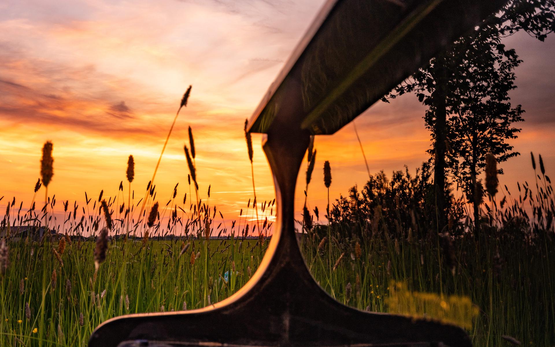 Spot de zeearend of droom weg bij muziek middenin de natuur in Jorwert. Dit  en meer uitjes in Friesland de komende week - Leeuwarder Courant