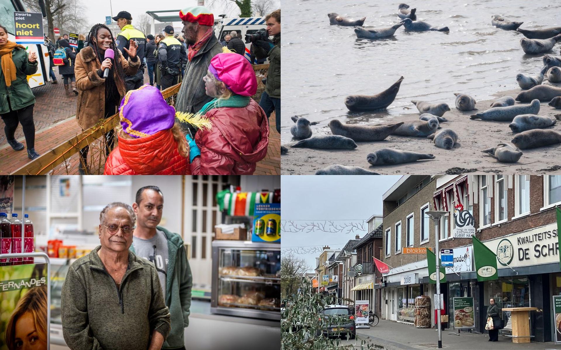 Workum kan rekenen op protest bij Sinterklaasintocht & waarom er niet meer gewone zeehonden in de Wa