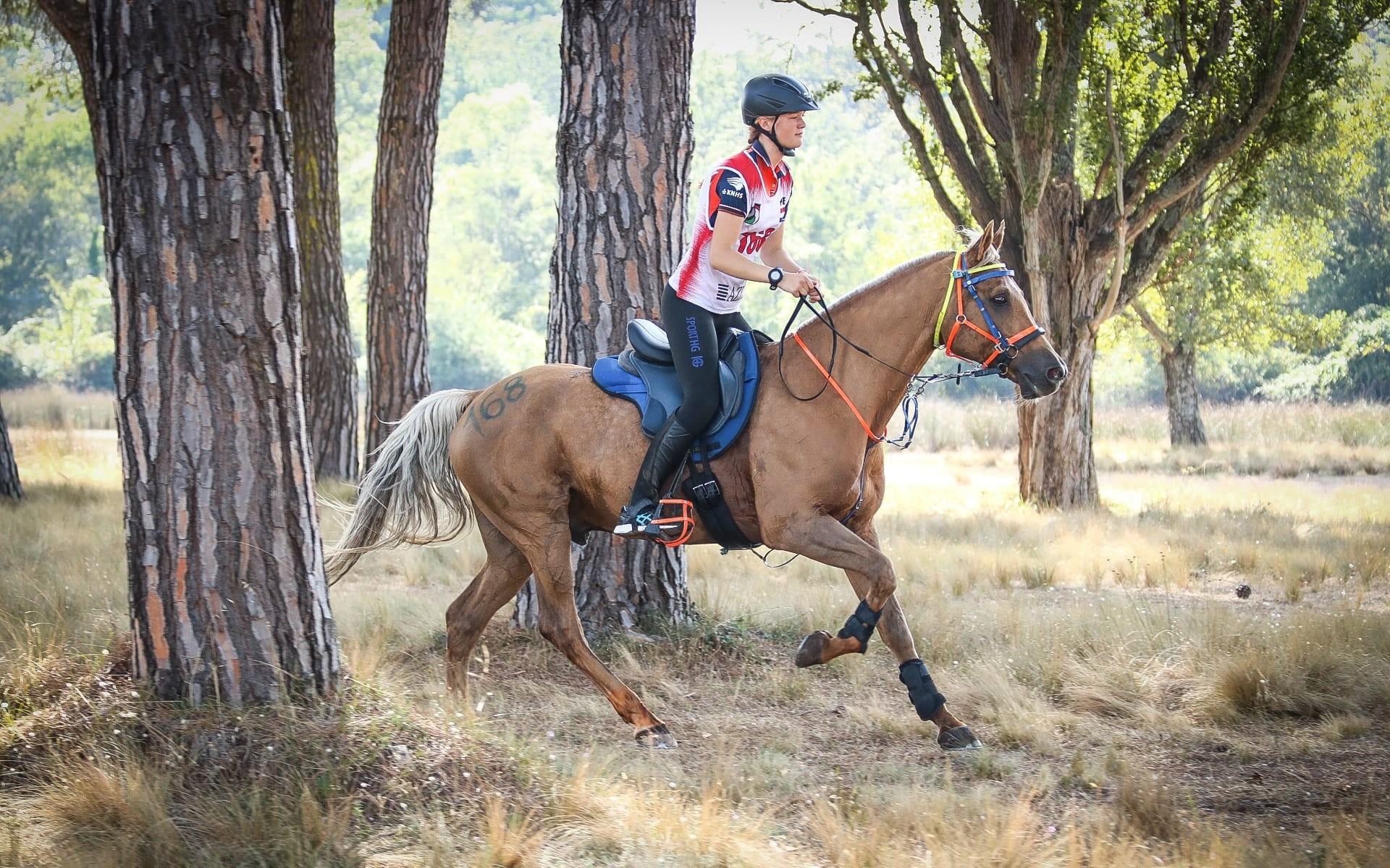 Nanke Kramer uit De Veenhoop 'heel gelukkig' na WK endurance in Pisa - Leeuwarder Courant