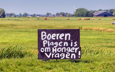 Poëtische teksten in het weiland tussen Bolsward en Leeuwarden.