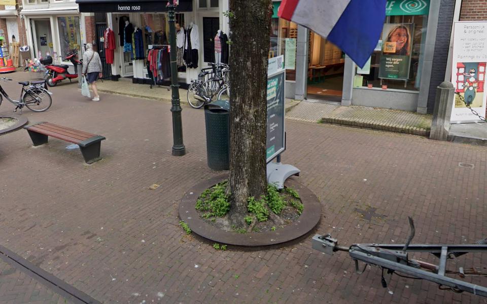 Eén van de 28 stalen boomringen langs de Voorstraat in Harlingen.