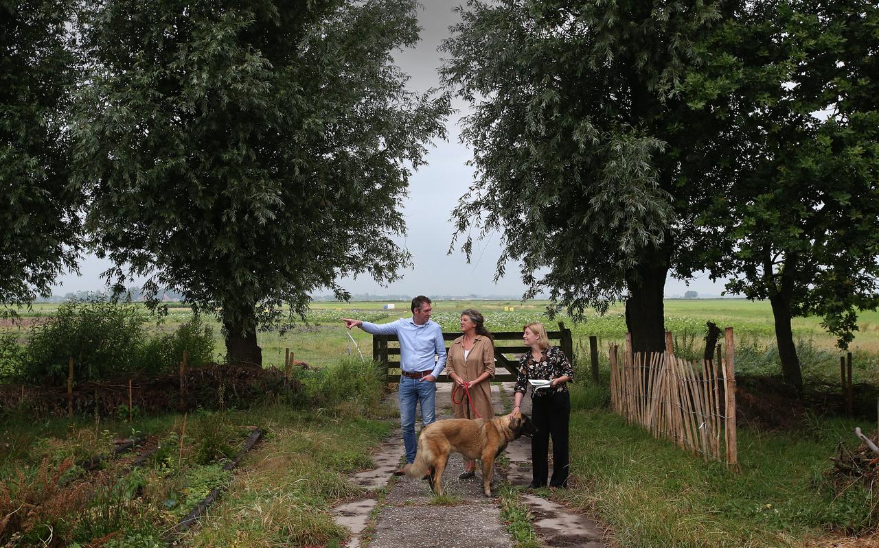 Wiebe Bouma, Madelon Oostwoud en Greetje Mast (v.l.n.r) maken met hond Mzuri een rondje over het boerenerf Koldyk in het Leechlân in Grou