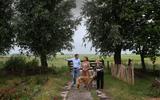 Wiebe Bouma, Madelon Oostwoud en Greetje Mast (v.l.n.r) maken met hond Mzuri een rondje over het boerenerf Koldyk in het Leechlân in Grou
