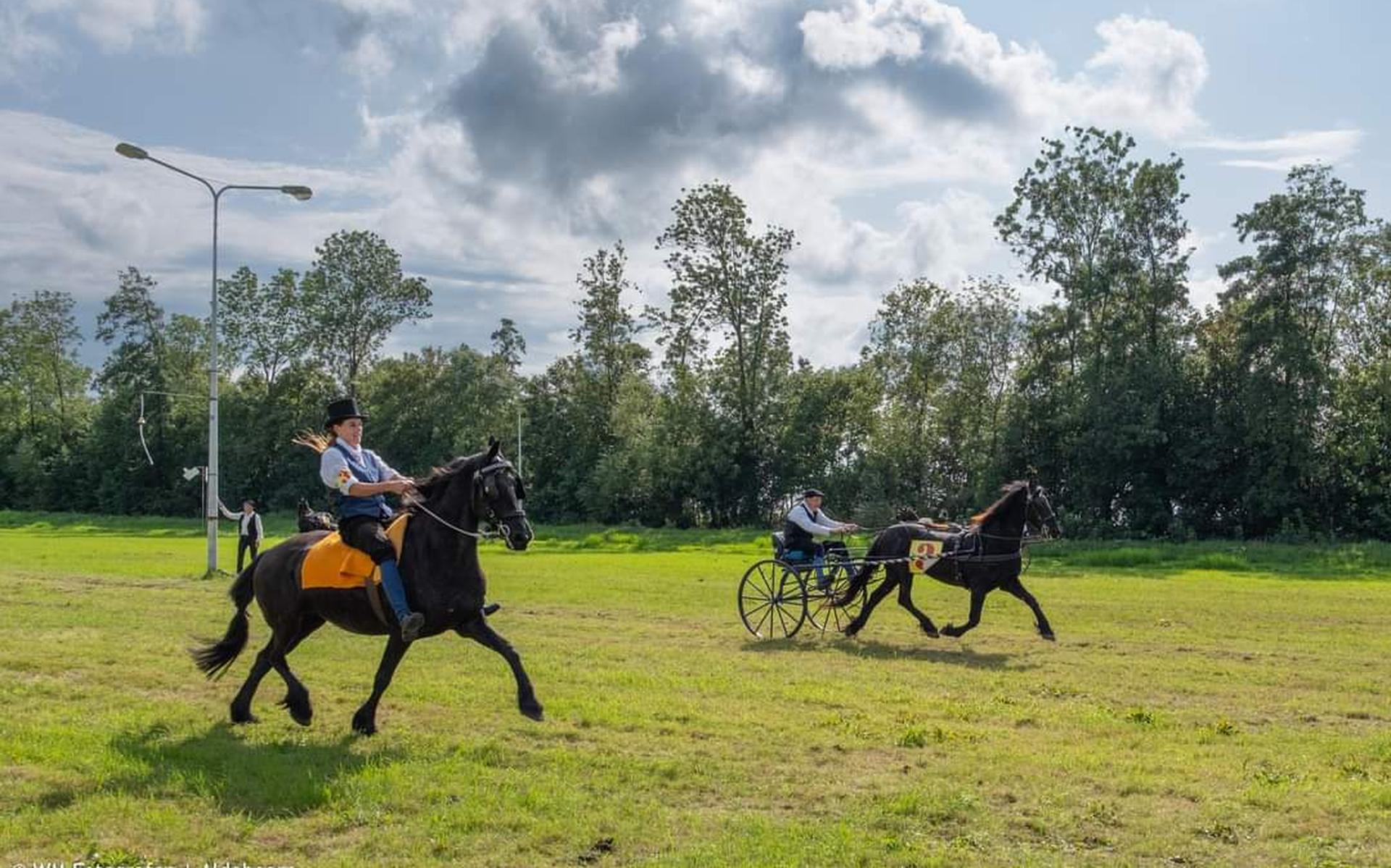 Sietske Brouwer wint beltsjejeien in Aldeboarn