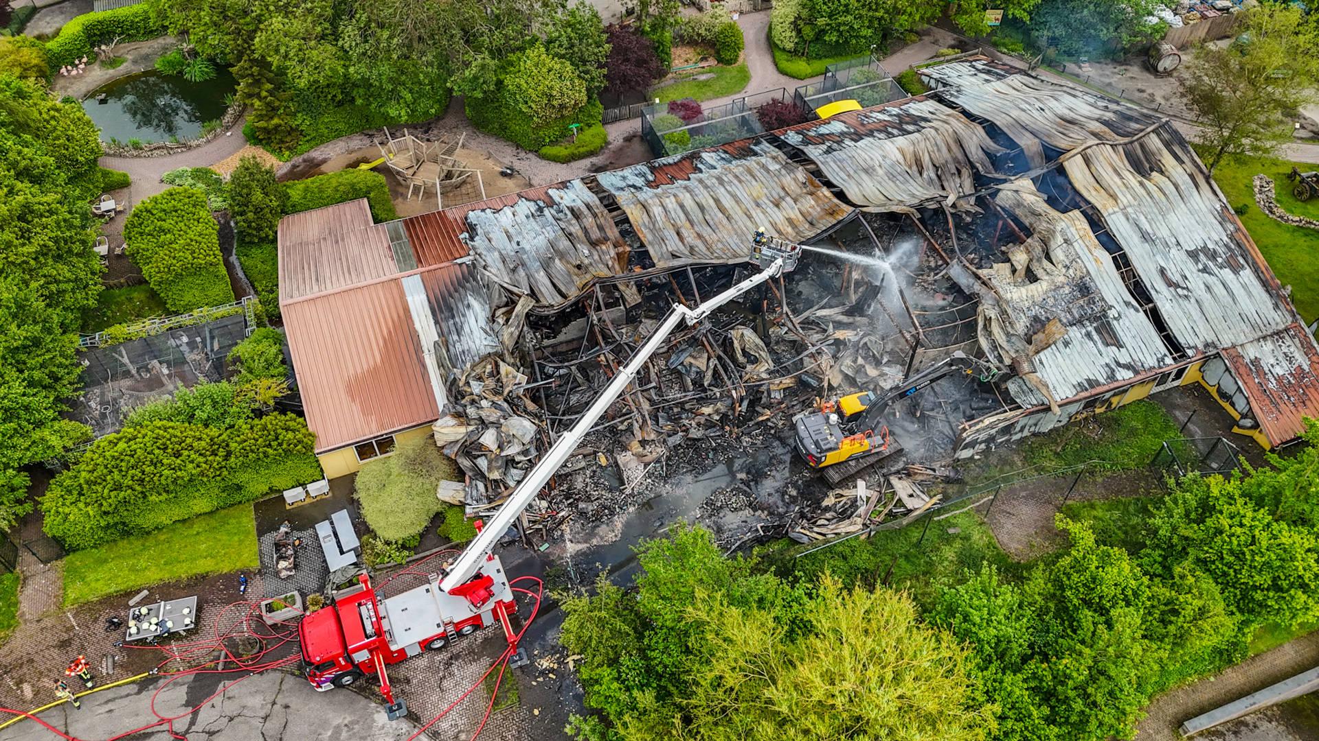 Rinaldo van dierenambulance redt tientallen dieren na brand bij SanjesZoo: ‘Het is een ravage hier’